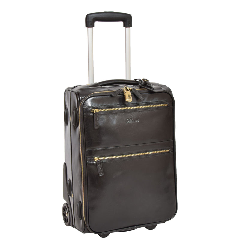 leather cabin luggage
